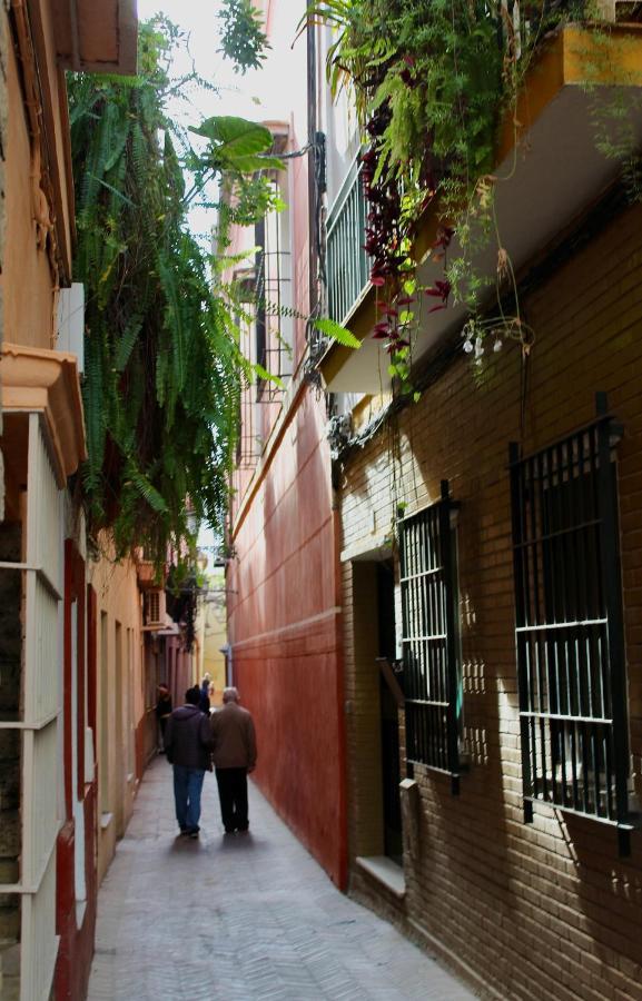 Wish Suite San Bartolome De Sevilla Ngoại thất bức ảnh